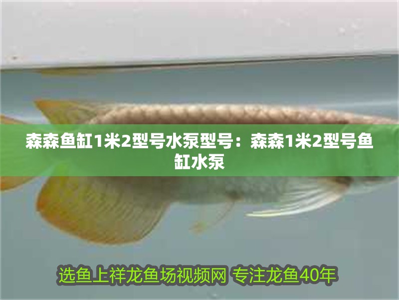 森森魚缸1米2型號水泵型號：森森1米2型號魚缸水泵