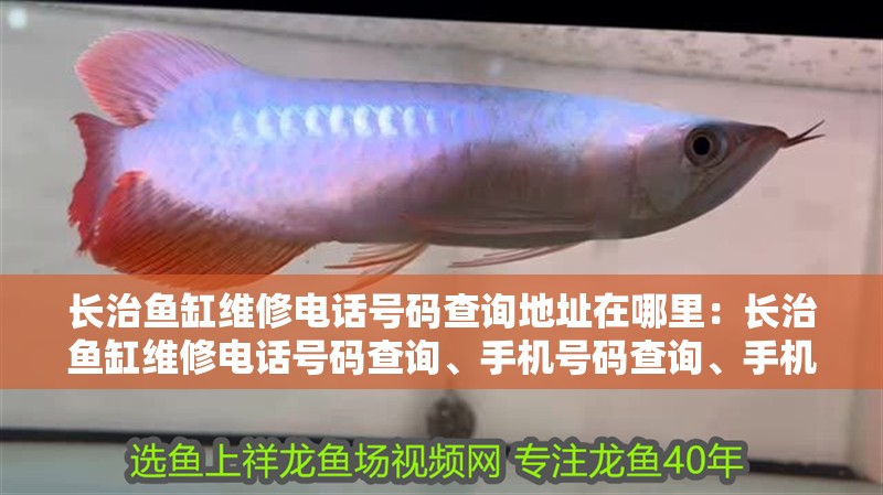 長治魚缸維修電話號碼查詢地址在哪里：長治魚缸維修電話號碼查詢、手機號碼查詢、手機號碼查詢地址 長治魚缸維修電話號碼查詢地址在哪里：長治魚缸維修電話號碼查詢、手機號碼查詢、手機號碼查詢地址 魚缸百科