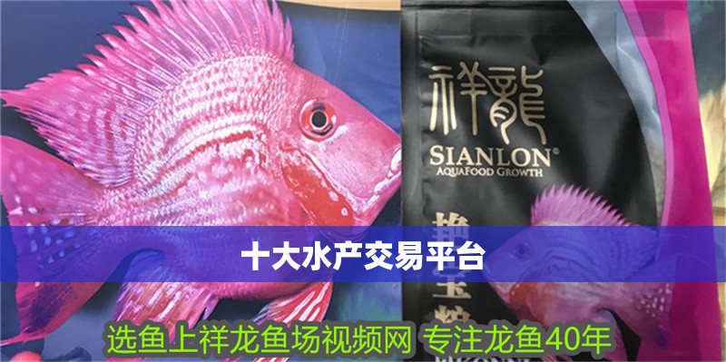 十大水產交易平臺 十大水產交易平臺 龍魚論壇