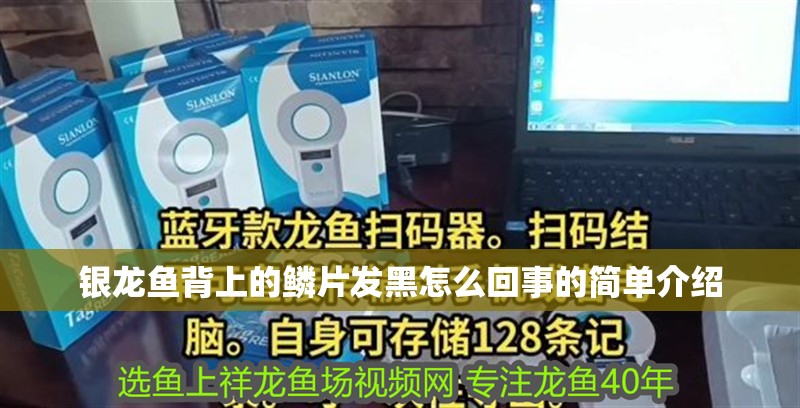 銀龍魚(yú)背上的鱗片發(fā)黑怎么回事的簡(jiǎn)單介紹