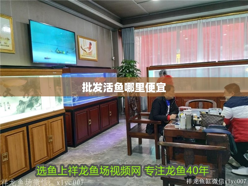 批發活魚哪里便宜