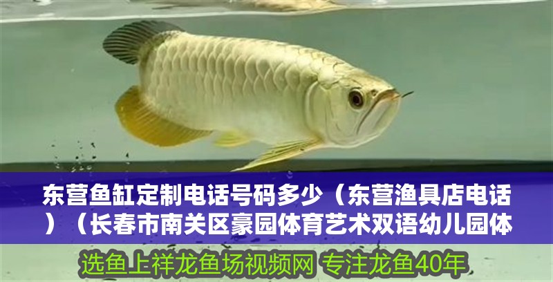 東營魚缸定制電話號碼多少（東營漁具店電話）（長春<strong><mark>市南</mark></strong>關區豪園體育藝術雙語幼兒園體育藝術雙語幼兒園）
