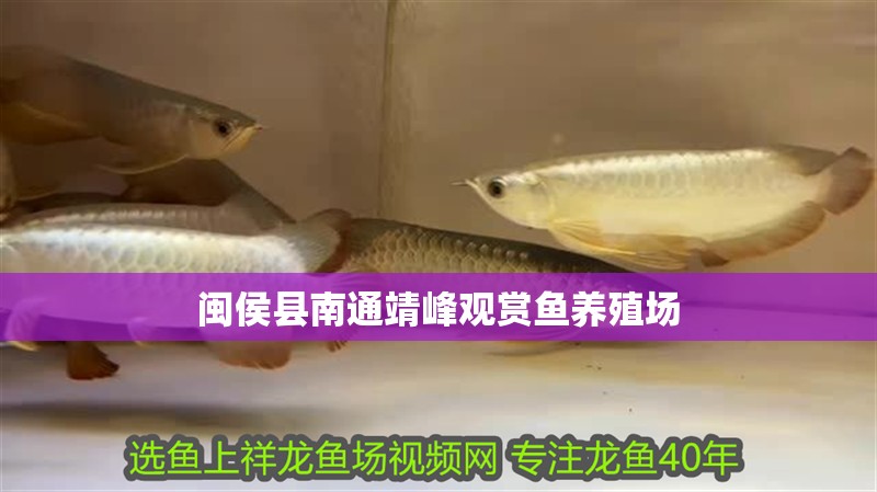 閩侯縣南通靖峰觀賞魚養殖場