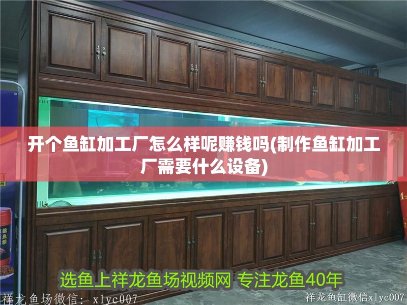 開個魚缸加工廠怎么樣呢賺錢嗎(制作魚缸加工廠需要什么設(shè)備)