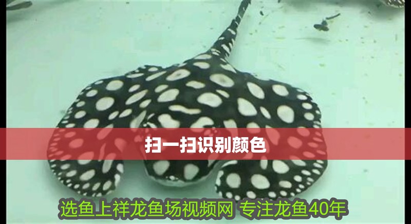 掃一掃識別顏色