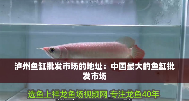 瀘州魚缸批發(fā)市場的地址：中國最大的魚缸批發(fā)市場