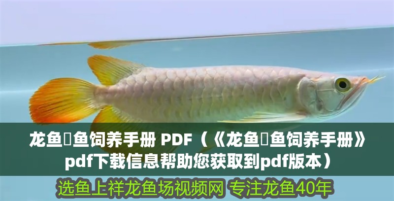 龍魚魟魚飼養(yǎng)手冊 PDF（《龍魚魟魚飼養(yǎng)手冊》pdf下載信息幫助您獲取到pdf版本）