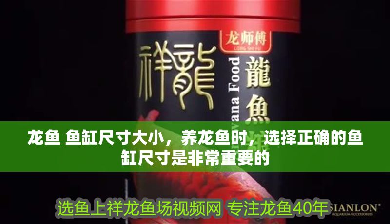 龍魚 魚缸尺寸大小，養龍魚時，選擇正確的魚缸尺寸是非常重要的