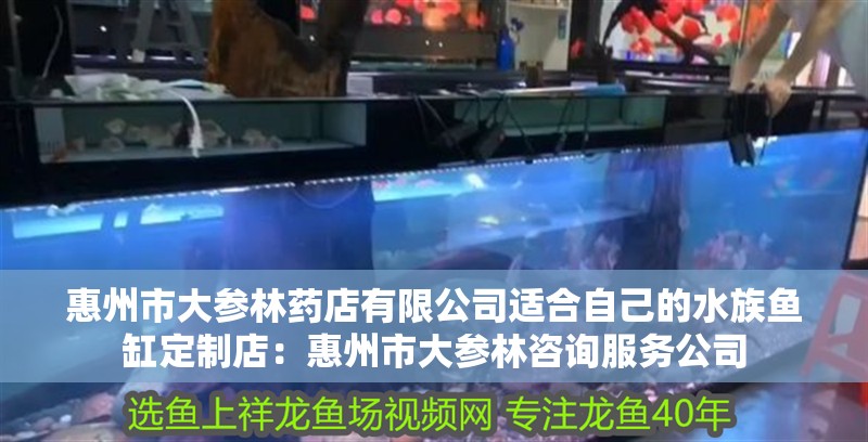 惠州市大參林藥店有限公司適合自己的水族魚缸定制店：惠州市大參林咨詢服務公司