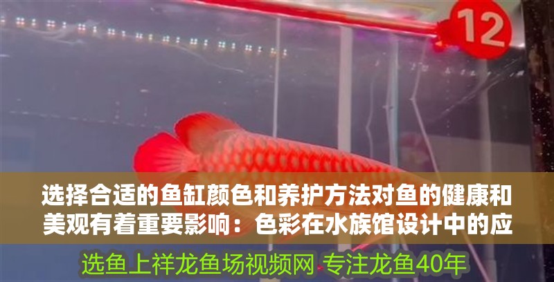選擇合適的魚缸顏色和養護方法對魚的健康和美觀有著重要影響：色彩在水族館設計中的應用