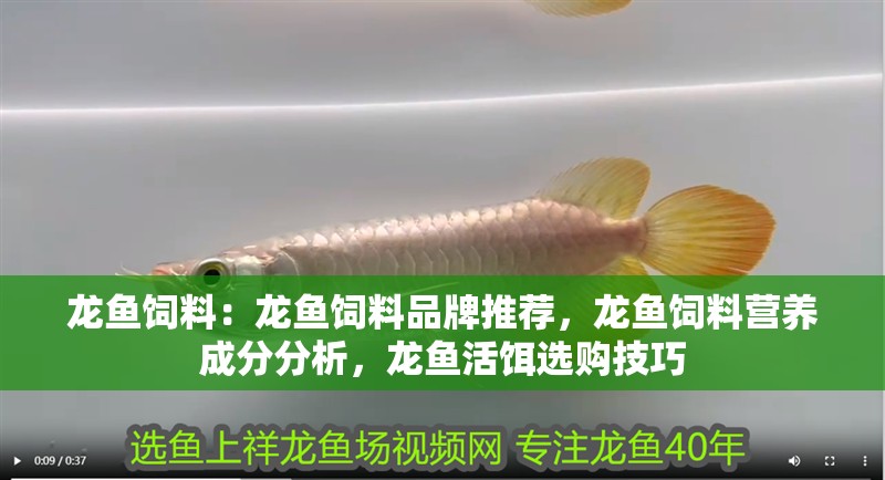龍魚飼料：龍魚飼料品牌推薦，龍魚飼料營養成分分析，龍魚活餌選購技巧 龍魚飼料：龍魚飼料品牌推薦，龍魚飼料營養成分分析，龍魚活餌選購技巧 龍魚百科