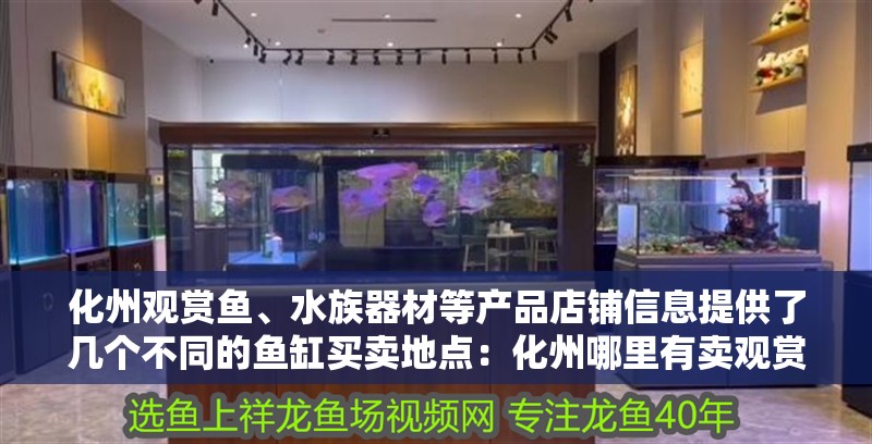 化州觀賞魚、水族器材等產品店鋪信息提供了幾個不同的魚缸買賣地點：化州哪里有賣觀賞魚的？