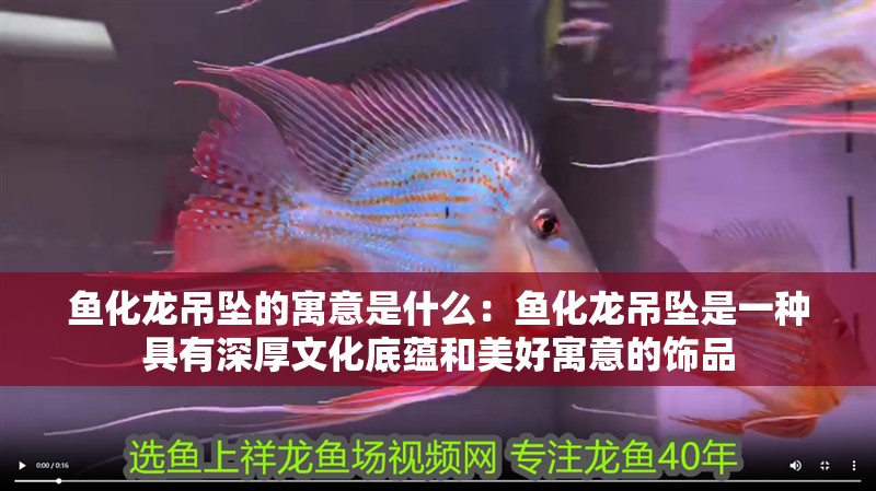 魚化龍吊墜的寓意是什么：魚化龍吊墜是一種具有深厚文化底蘊和美好寓意的飾品