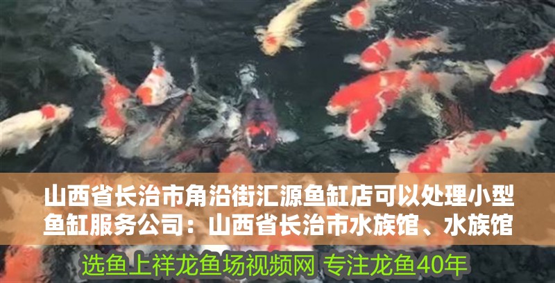 給大魚缸換水的作文:體驗給大魚缸換水的樂趣:體驗給大魚缸換水:給大魚缸換水的作文 山西省長治市角沿街匯源魚缸店可以處理小型魚缸服務公司:山西省長治市水族館、水族館、水族店 魚缸百科 山西省長治市角沿街匯源魚缸店可以處理小型魚缸服務公司:山西省長治市水族館、水族館、水族店 山西省長治市角沿街匯源魚缸店可以處理小型魚缸服務公司:山西省長治市水族館、水族館、水族店 魚缸百科