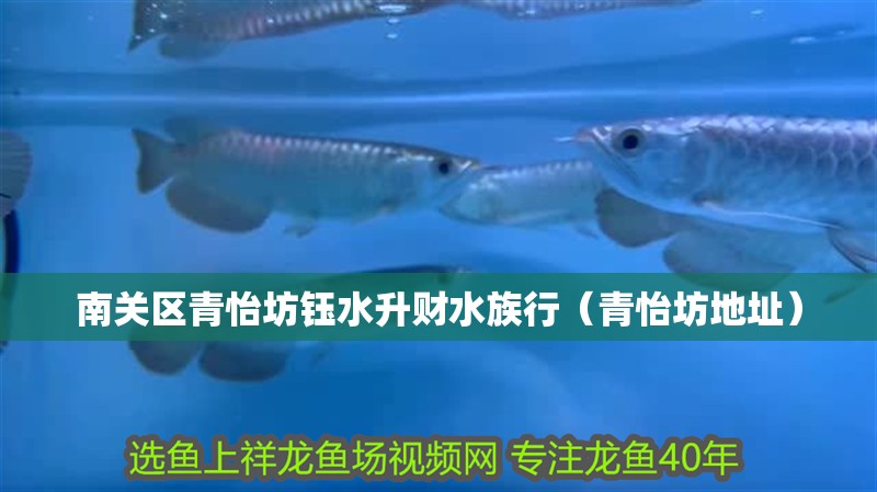 南關區青怡坊鈺水升財水族行（青怡坊地址）