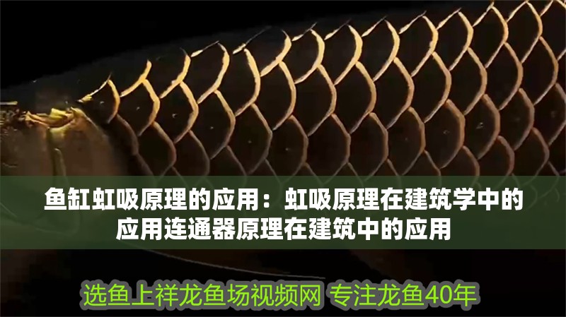 魚缸虹吸原理的應用：虹吸原理在建筑學中的應用連通器原理在建筑中的應用