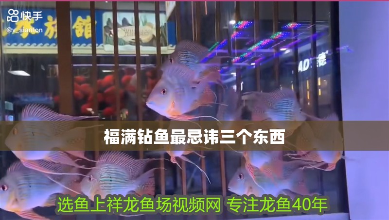 福滿鉆魚最忌諱三個東西