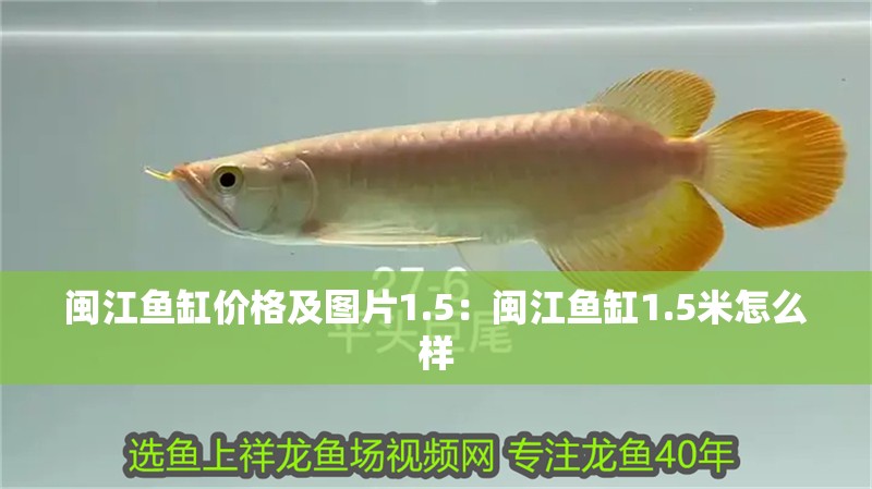 閩江魚缸價格及圖片1.5：閩江魚缸1.5米怎么樣