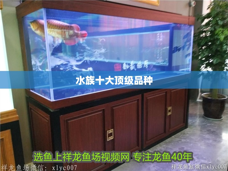 水族十大頂級品種