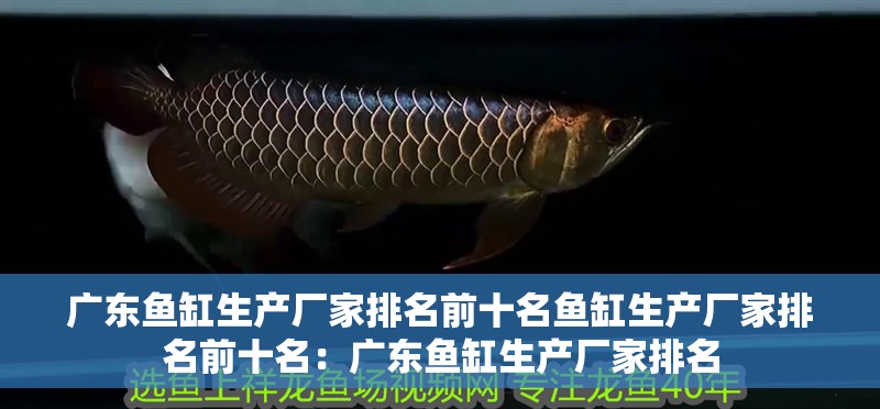 廣東魚缸生產(chǎn)廠家排名前十名魚缸生產(chǎn)廠家排名前十名：廣東魚缸生產(chǎn)廠家排名
