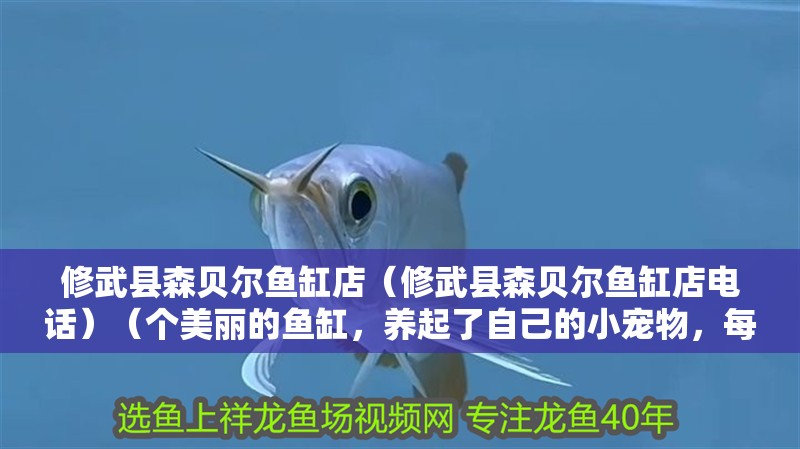 修武縣森貝爾魚缸店（修武縣森貝爾魚缸店電話）（個美麗的魚缸，養起了自己的小寵物，每天早晨起床） 修武縣森貝爾魚缸店（修武縣森貝爾魚缸店電話）（個美麗的魚缸，養起了自己的小寵物，每天早晨起床） 全國水族館企業名錄