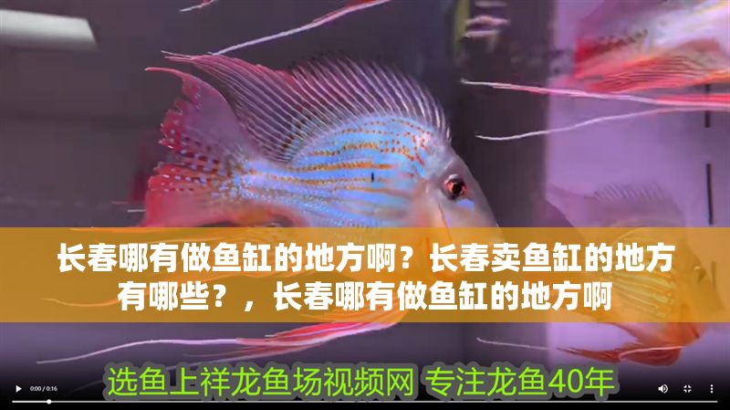 長(zhǎng)春哪有做魚缸的地方啊？長(zhǎng)春賣魚缸的地方有哪些？，長(zhǎng)春哪有做魚缸的地方啊