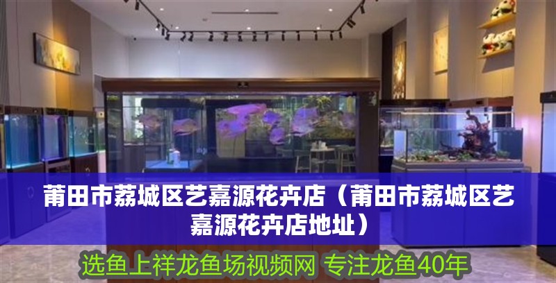 莆田市荔城區藝嘉源花卉店（莆田市荔城區藝嘉源花卉店地址）