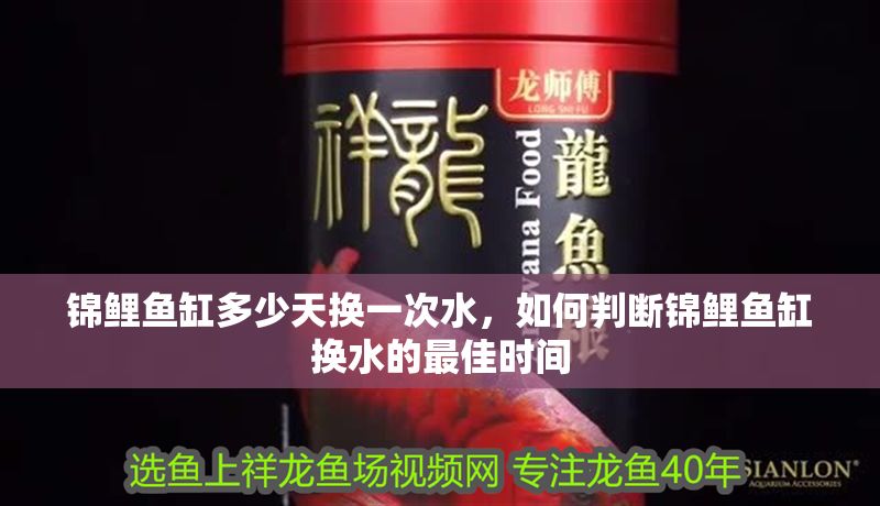 錦鯉魚缸多少天換一次水，如何判斷錦鯉魚缸換水的最佳時間