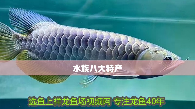 水族八大特產