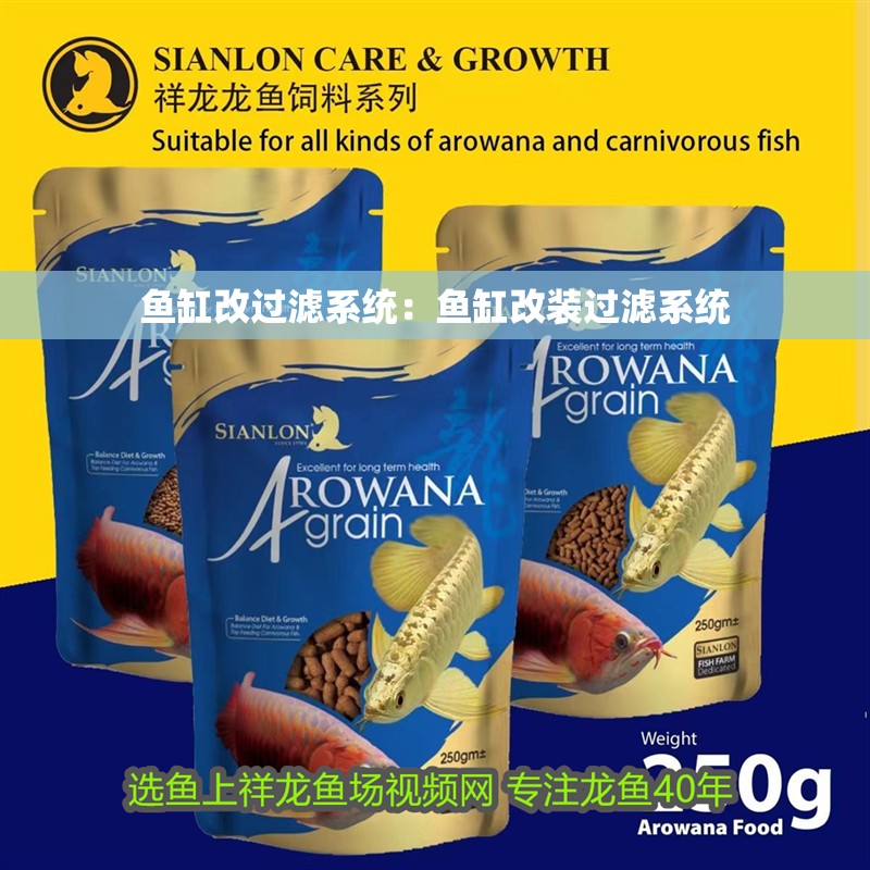 我的虎魚真菌感染了要怎么處理 魚缸改過濾系統:魚缸改裝過濾系統 魚缸百科 魚缸改過濾系統:魚缸改裝過濾系統 魚缸改過濾系統:魚缸改裝過濾系統 魚缸百科