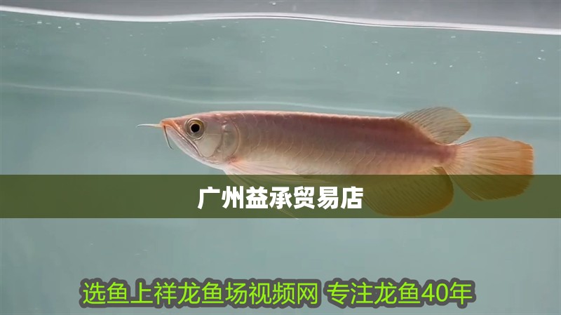 廣州益承貿易店