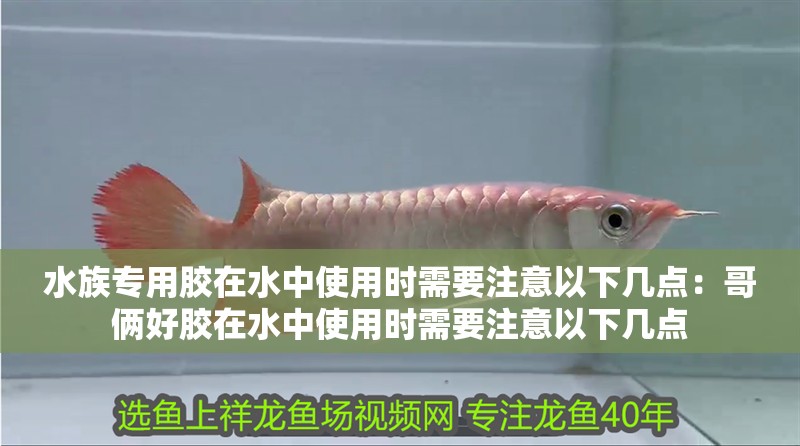水族專用膠在水中使用時需要注意以下幾點：哥倆好膠在水中使用時需要注意以下幾點