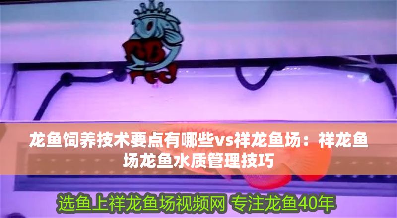 龍魚飼養技術要點有哪些vs祥龍魚場:祥龍魚場龍魚水質管理技巧 vs祥龍魚場 第2張 龍魚飼養技術要點有哪些vs祥龍魚場:祥龍魚場龍魚水質管理技巧 龍魚飼養技術要點有哪些vs祥龍魚場:祥龍魚場龍魚水質管理技巧 vs祥龍魚場 第2張