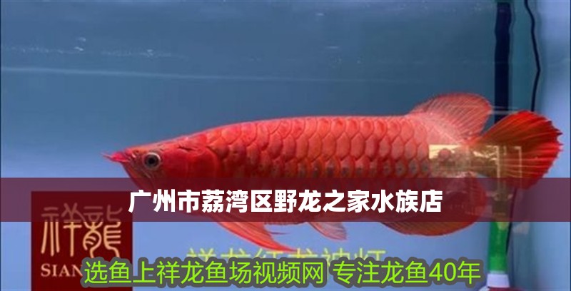 廣州市荔灣區野龍之家水族店