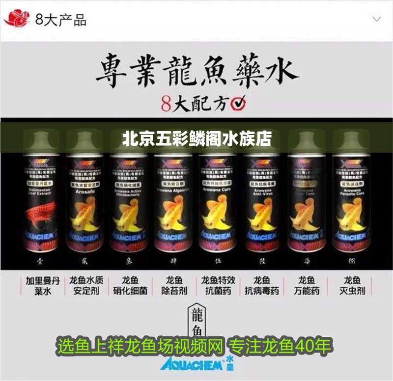 北京五彩鱗閣水族店