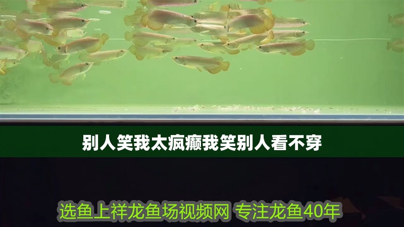 別人笑我太瘋癲我笑別人看不穿