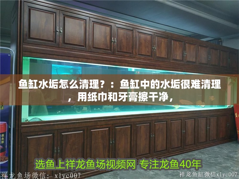 魚缸水垢怎么清理？：魚缸中的水垢很難清理，用紙巾和牙膏擦干凈，