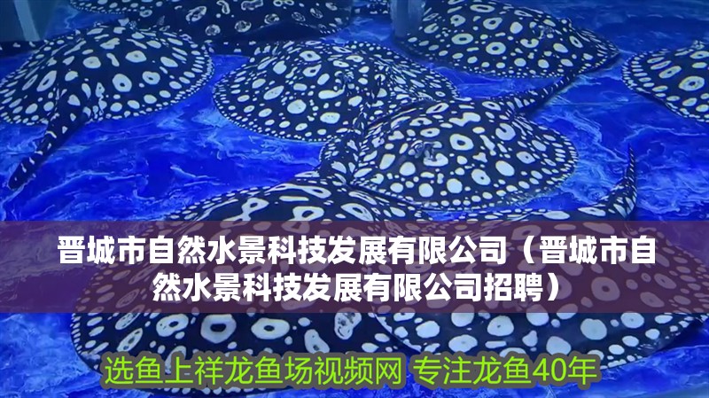 鸚鵡魚和銀龍魚混養怎樣喂食 晉城市自然水景科技發展有限公司(晉城市自然水景科技發展有限公司招聘) 全國水族館企業名錄 晉城市自然水景科技發展有限公司(晉城市自然水景科技發展有限公司招聘) 晉城市自然水景科技發展有限公司(晉城市自然水景科技發展有限公司招聘) 全國水族館企業名錄