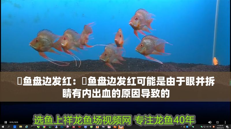 魟魚盤邊發(fā)紅：魟魚盤邊發(fā)紅可能是由于眼并拆睛有內(nèi)出血的原因?qū)е碌? title=