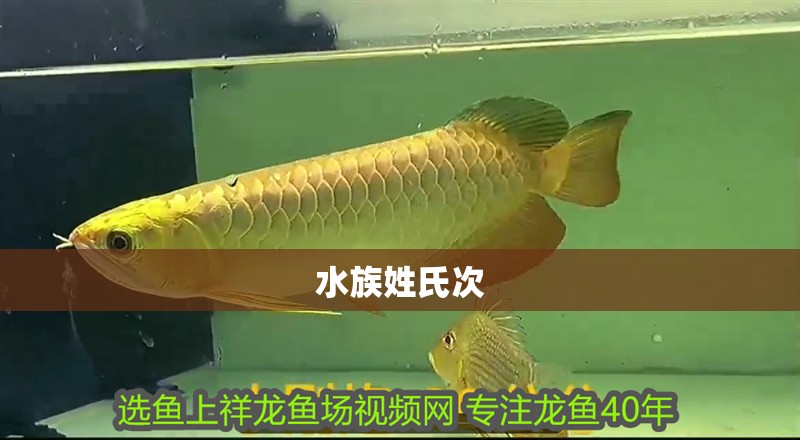 水族姓氏次