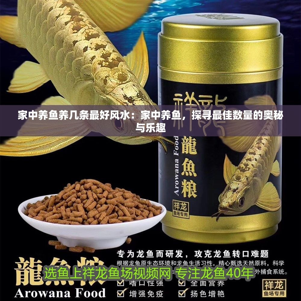 家中養(yǎng)魚養(yǎng)幾條最好風(fēng)水：家中養(yǎng)魚，探尋最佳數(shù)量的奧秘與樂趣