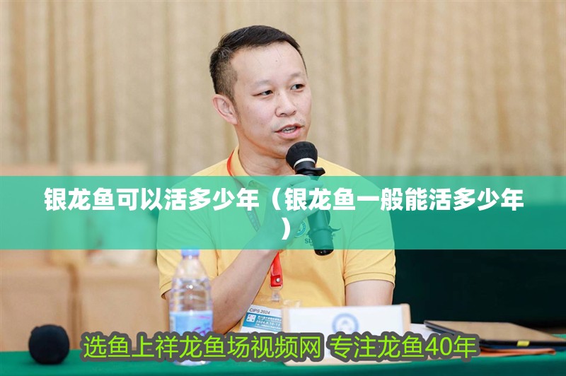 銀龍魚可以活多少年（銀龍魚一般能活多少年）