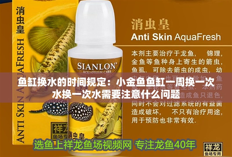 魚缸換水的時間規(guī)定：小金魚魚缸一周換一次水換一次水需要注意什么問題