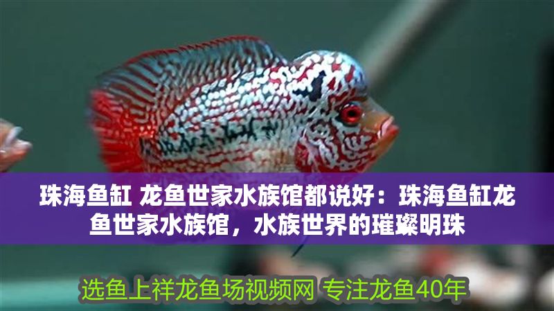 珠海魚缸 龍魚世家水族館都說好：珠海魚缸龍魚世家水族館，水族世界的璀璨明珠