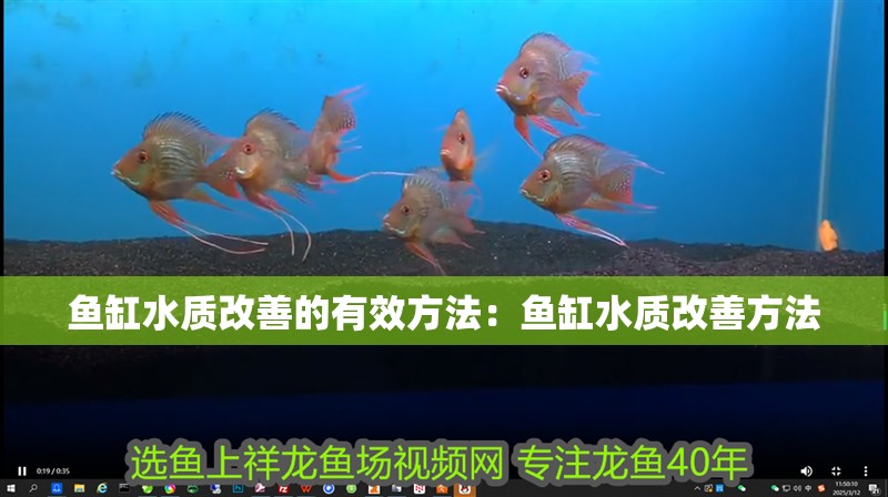 魚缸水質(zhì)改善的有效方法：魚缸水質(zhì)改善方法 魚缸水質(zhì)改善的有效方法：魚缸水質(zhì)改善方法 魚缸百科