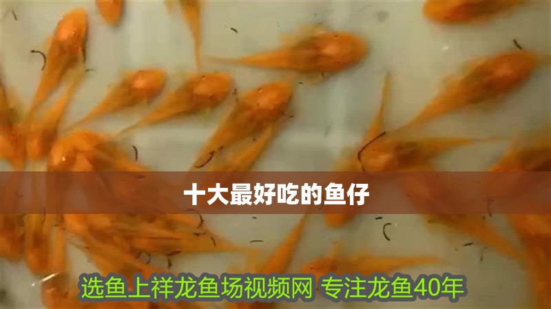 十大最好吃的魚仔 十大最好吃的魚仔 龍魚論壇
