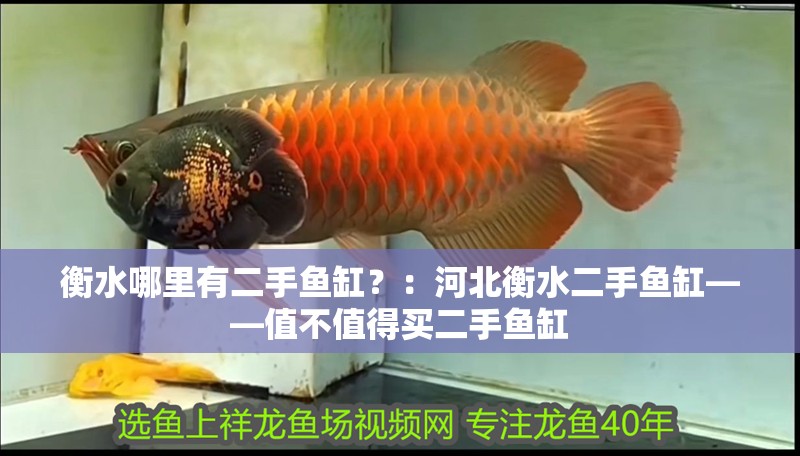 衡水哪里有二手魚缸？：河北衡水二手魚缸——值不值得買二手魚缸