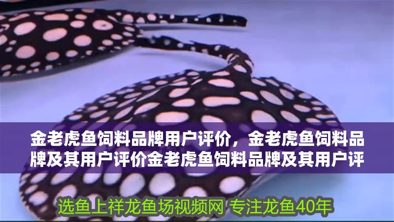 金老虎魚飼料品牌用戶評價，金老虎魚飼料品牌及其用戶評價金老虎魚飼料品牌及其用戶評價