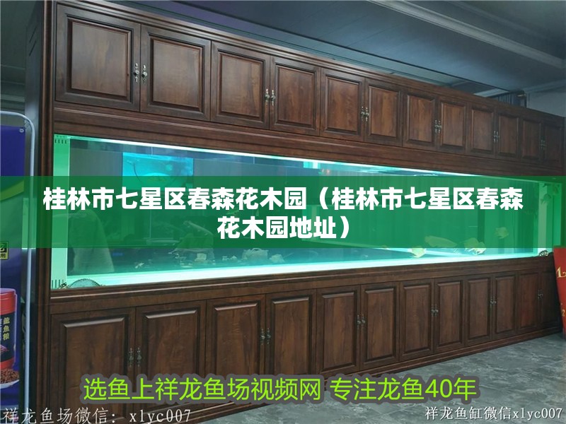 魚缸造景先放沙還是先放水(魚缸造景先鋪沙還是先放石頭) 桂林市七星區春森花木園(桂林市七星區春森花木園地址) 全國水族館企業名錄 桂林市七星區春森花木園(桂林市七星區春森花木園地址) 桂林市七星區春森花木園(桂林市七星區春森花木園地址) 全國水族館企業名錄