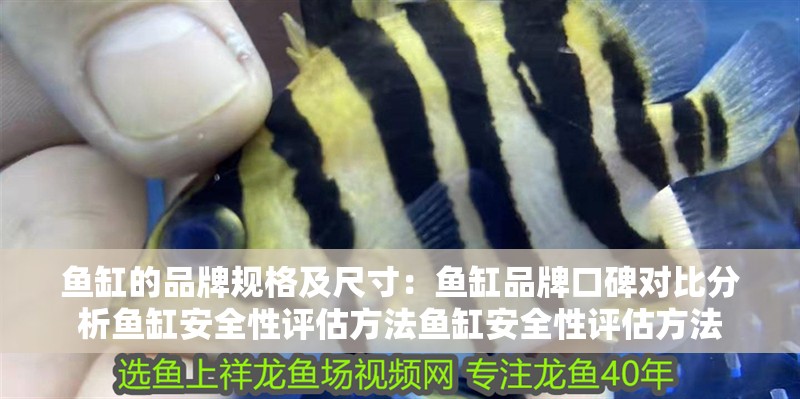 魚缸的品牌規格及尺寸：魚缸品牌口碑對比分析魚缸安全性評估方法魚缸安全性評估方法